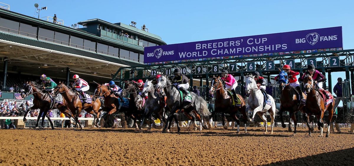 Looking for Work of Art in Breeders’ Cup Classic