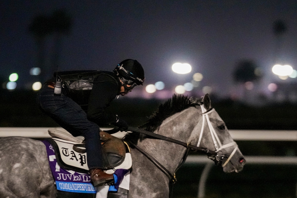 Breeders’ Cup Friday: Juvenile to Produce Derby Favorite