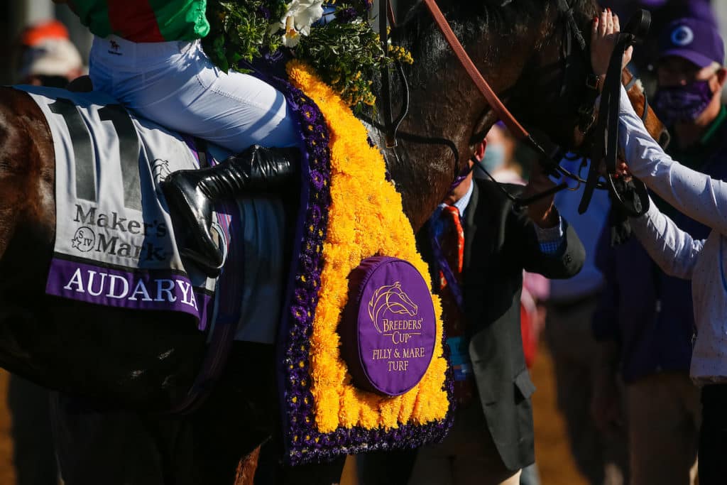 2021 Breeders' Cup Post Positions and Odds Horse Racing Reports and
