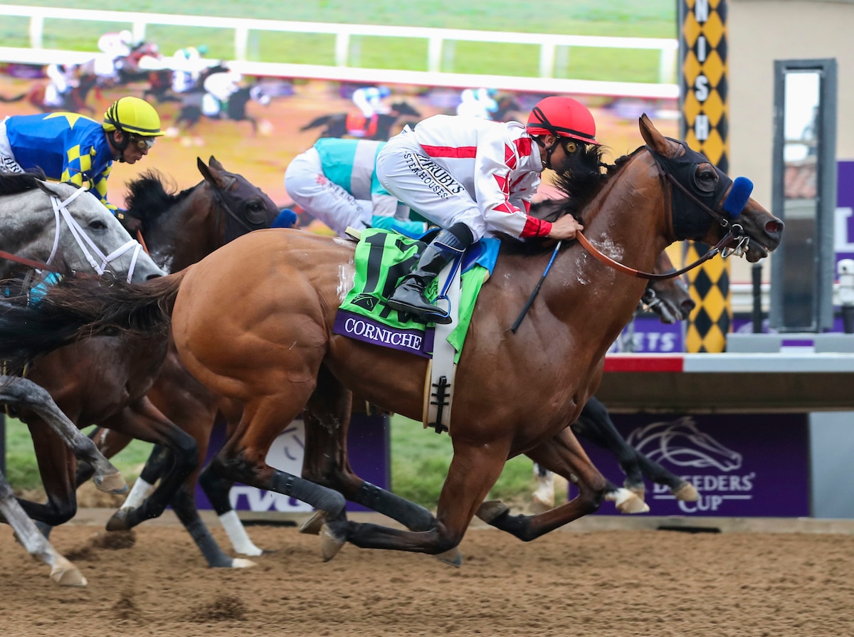 All Others Chalk in First Kentucky Derby Future Pool
