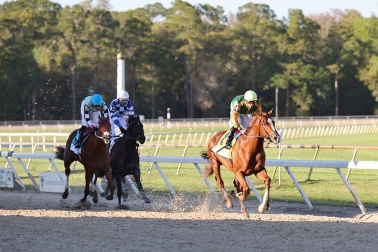 Classic Causeway Rolls in Tampa Bay Derby Horse Racing Reports and