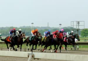 Minnesota Horse Racing Betting