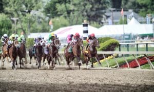 Preakness Stakes Selections and Analysis