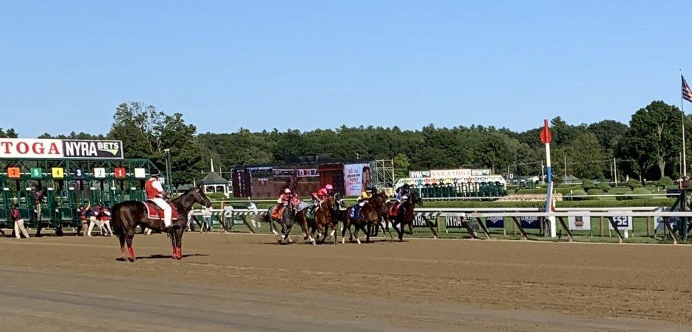 Tiny shifts can reshape results in Horse Racing