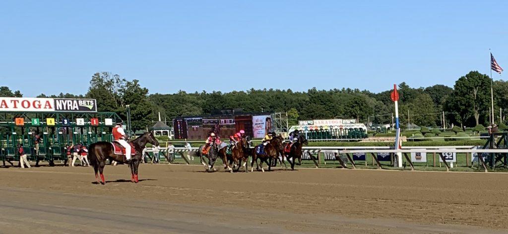 Tiny shifts can reshape results in Horse Racing